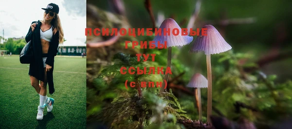 прущие крисы Вязники