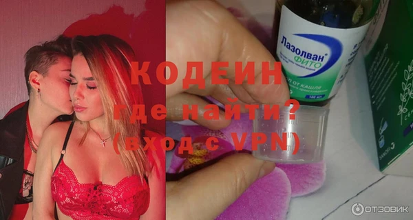 МДПВ Вяземский