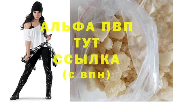 МДПВ Вяземский