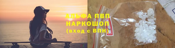 СК Вязьма