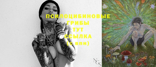 СК Вязьма
