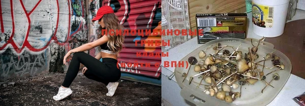 прущие крисы Вязники