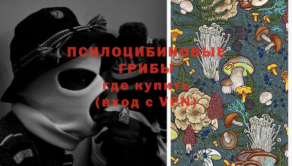 МДПВ Вяземский